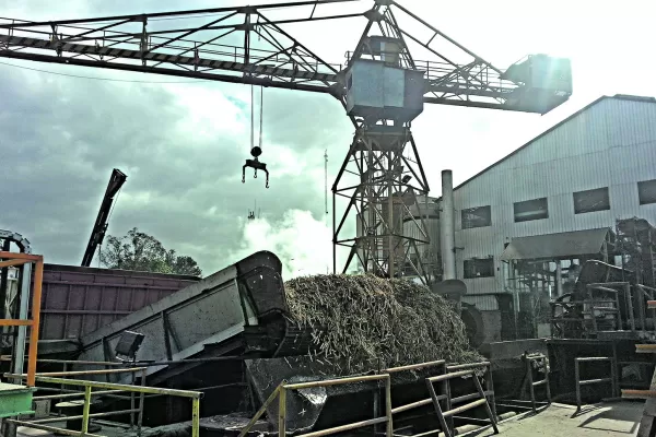 En vivo: se pone en marcha el inicio de la zafra en Tucumán