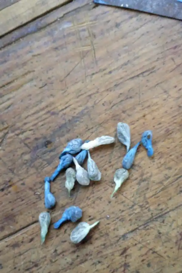 ESTUPEFACIENTES. Entre los 15 envoltorios secuestrados había drogas.  