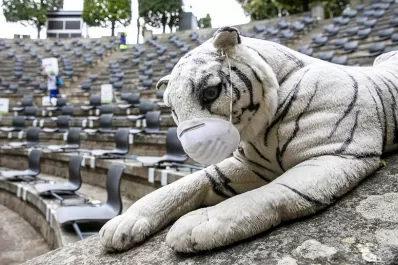 Cataluña y el País Vasco registran más casos de covid-19 que el resto de España junta