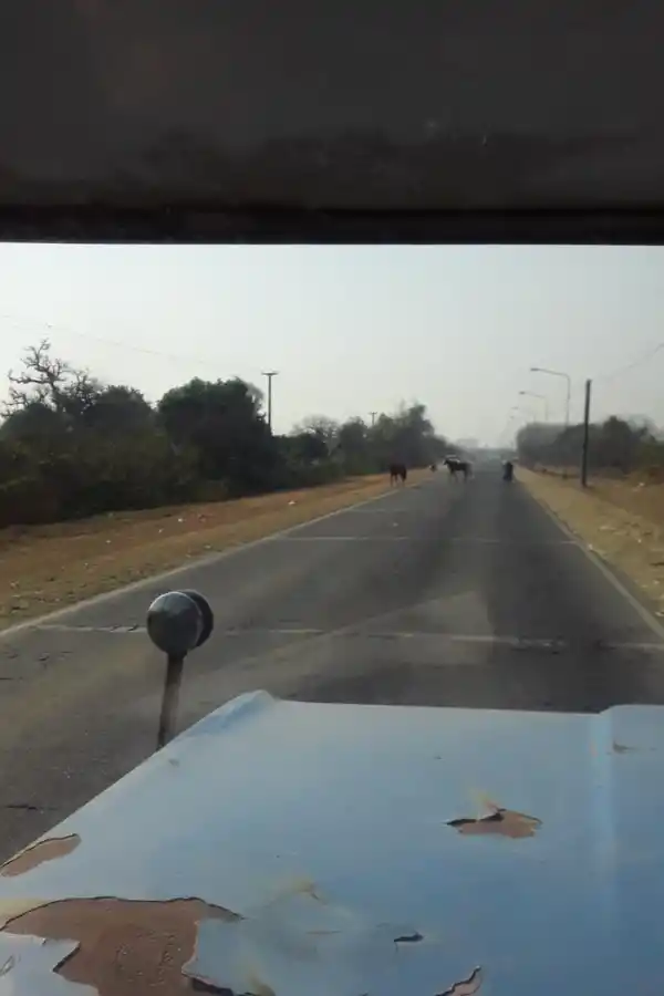 Este contenedor ya no da más