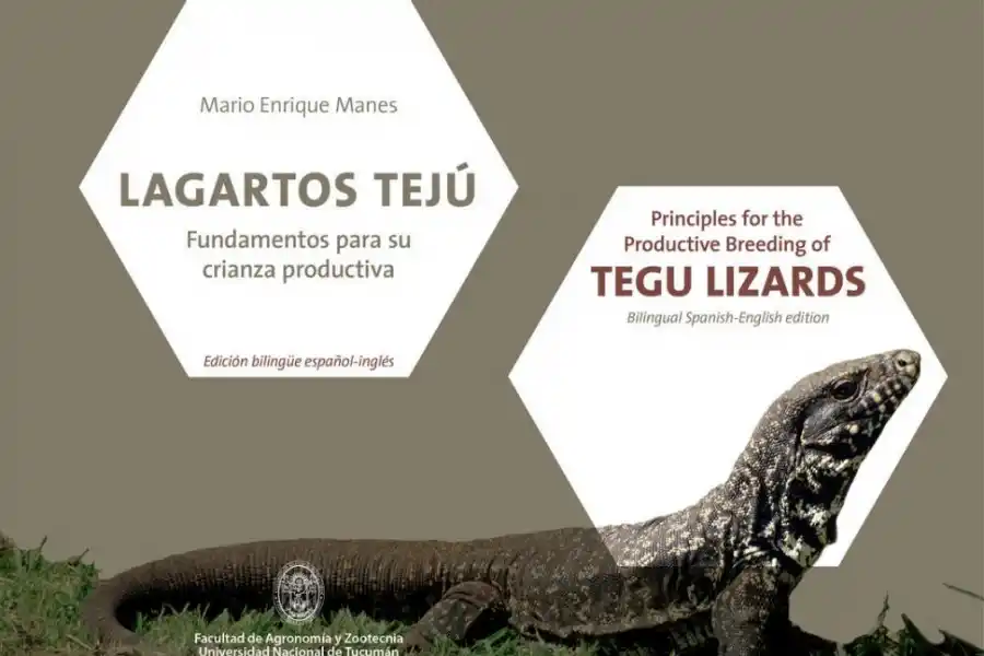 Los misterios de los lagartos overos y de sus huevos