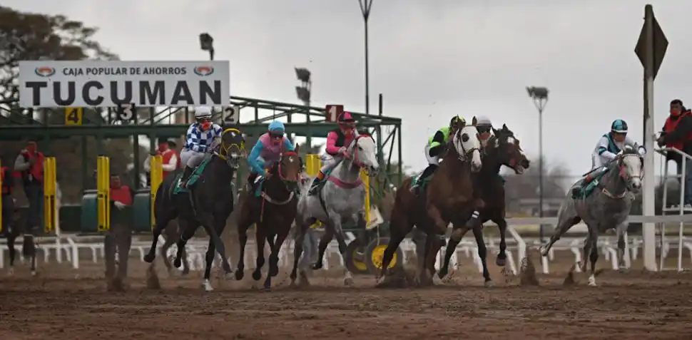 ACCIÓN. El jinete José Vizcarra (14), ganador de la última estadística de jinetes, montará a Beck’s en el clásico “78° Aniversario del Hipódromo de Tucumán”. la gaceta / fotos de DIEGO ARAOZ 