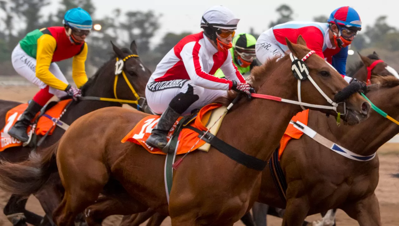 EL RETORNO. Luego de 137 días, el 23 del mes pasado se había vuelto a realizar una carrera de caballos en el Hipódromo de Tucumán; la que iba a disputarse el jueves quedó suspendida.