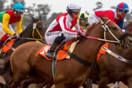 En el marco de las nuevas medidas sanitarias, el Hipódromo suspende sus actividades