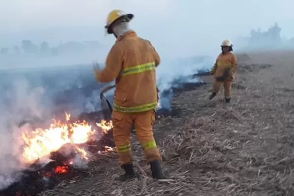 Los incendios por quema ilegal son recurrentes y preocupan al Gobierno