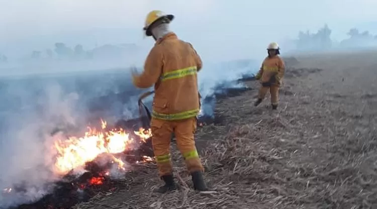 EN ALBERDI. Bomberos sofocan un incendio producido por la quema ilegal. Foto: Comunicación Pública
