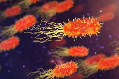 Hacen “revivir” bacterias que tienen más de 100 millones de años