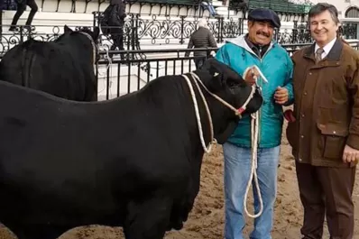 La Expo Rural de Palermo fue reprogramada para el año que viene, debido a la covid-19