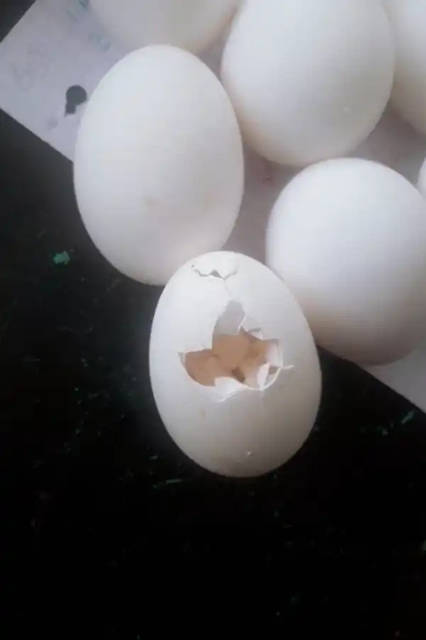 EN UN HUEVO. Las pastillas detectadas por los agentes. Foto: prensa Ministerio de Seguridad