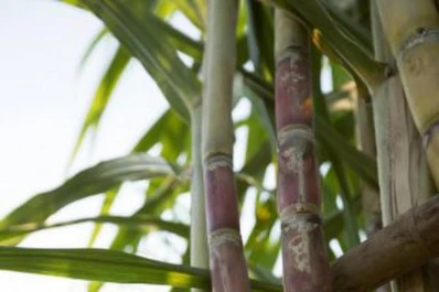 Literatura e industrria: el MIA lanza su primer concurso de poesía