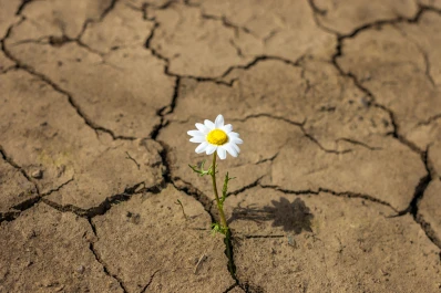 Frente a la pandemia: resiliencia y empatía, dos salvavidas del momento