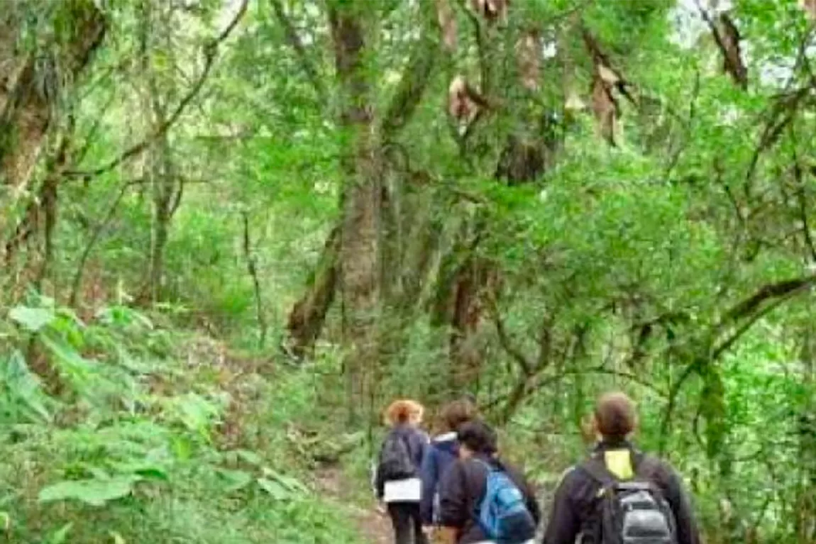 Con recaudos, seguirán abiertos los senderos del Parque Sierra de San Javier