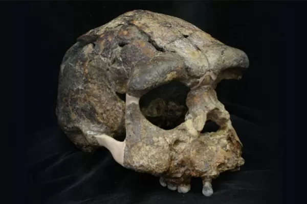 Investigación: ancestros no identificados