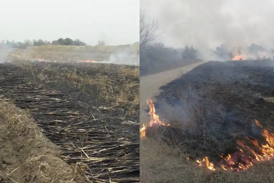 Quema ilegal: hubo cinco incendios en 24 horas en distintos puntos de la provincia