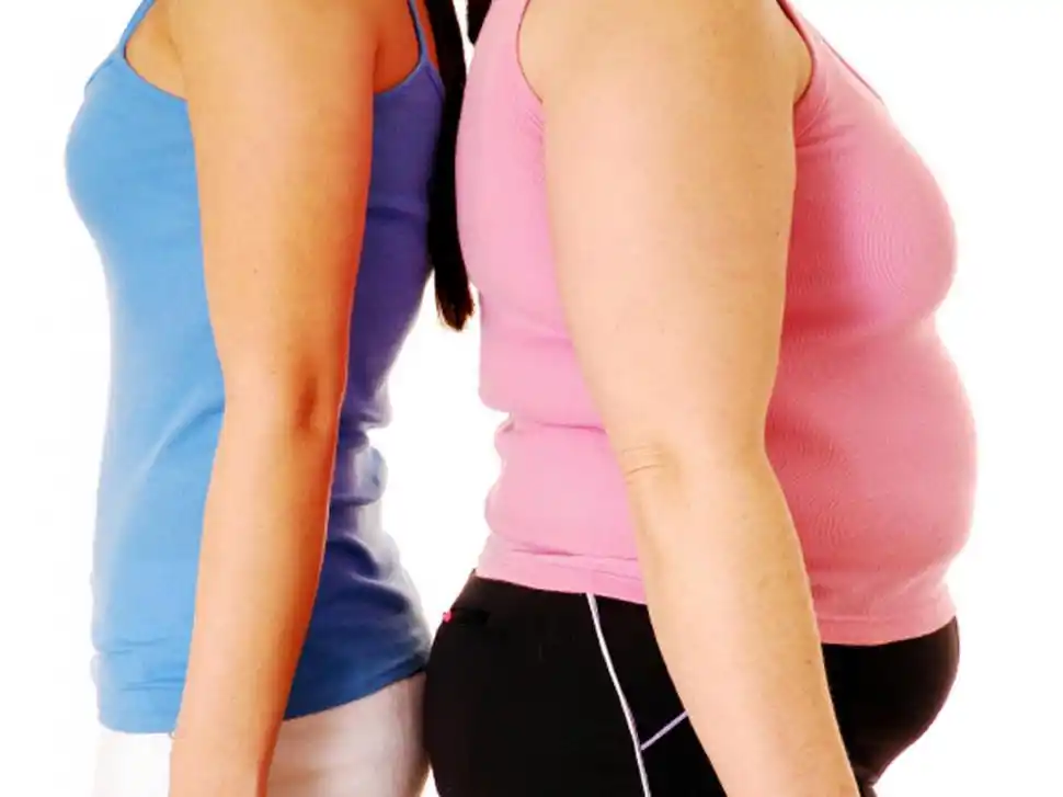 Cuáles son los mitos y demás factores que dificultan el tratamiento de la obesidad