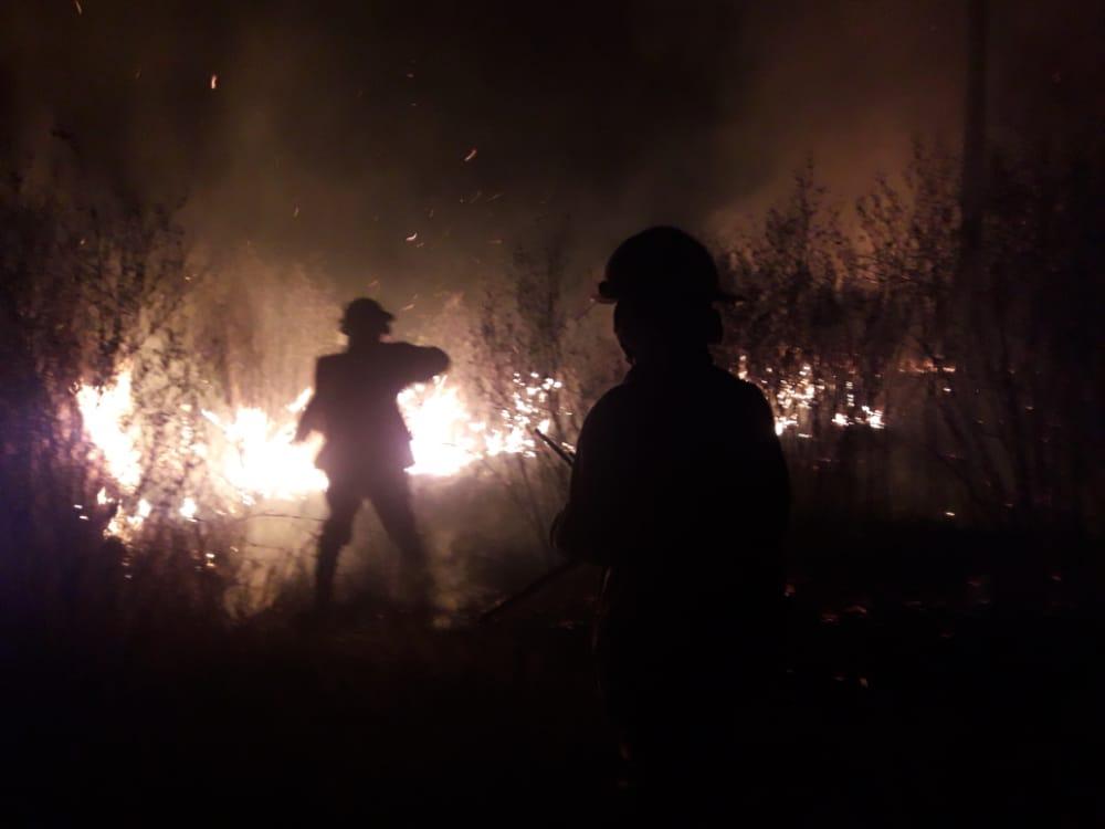 Quema ilegal: hubo cinco incendios en 24 horas en distintos puntos de la provincia