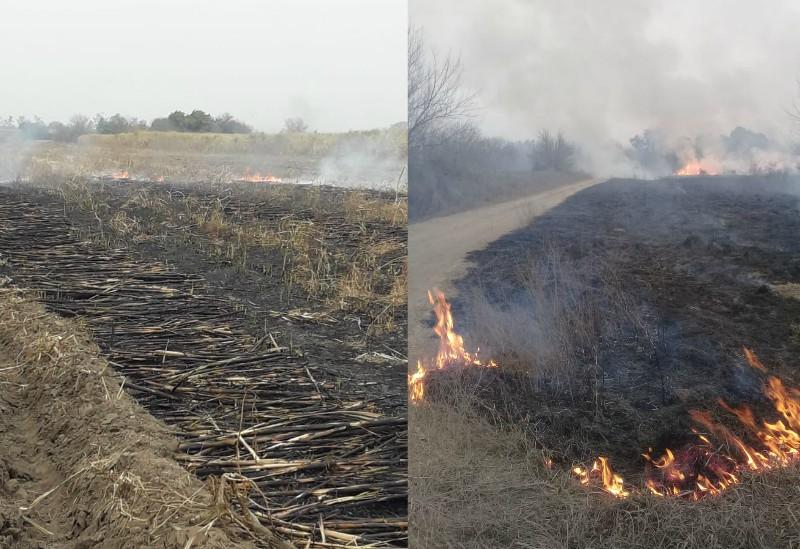 Quema ilegal: hubo cinco incendios en 24 horas en distintos puntos de la provincia