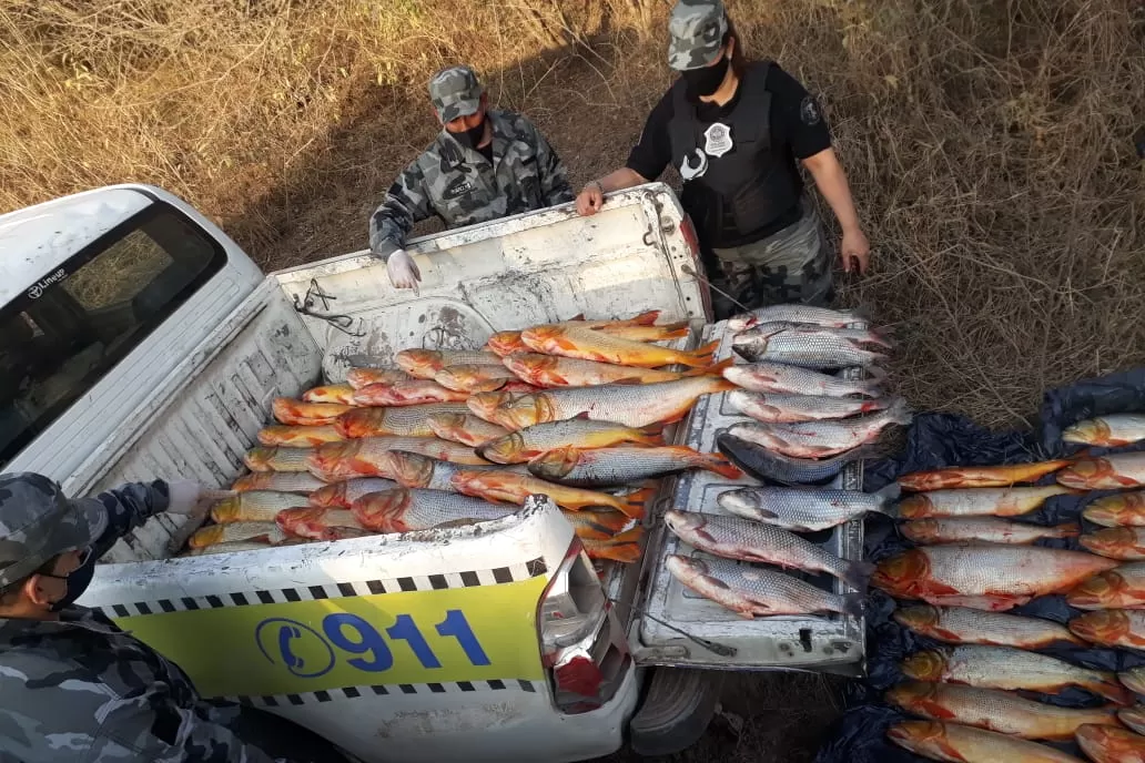 PESCA ILEGAL. Secuestraron más de 180 kilos.