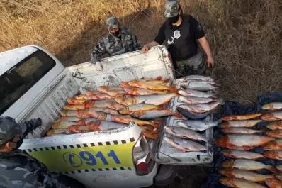 Secuestraron más de 180 kilos de pescados capturados de manera ilegal