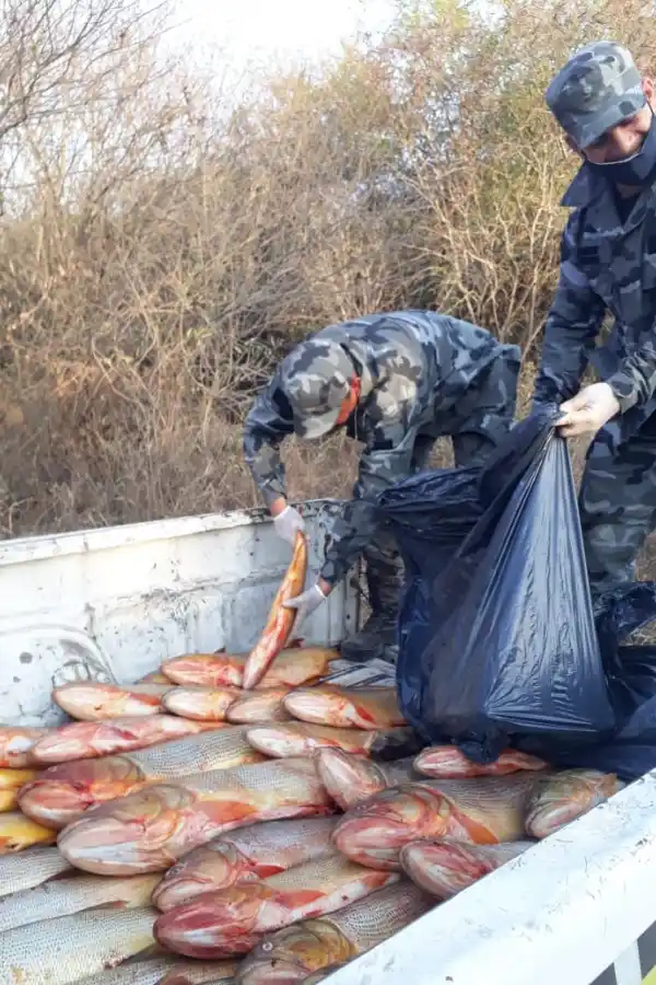 Secuestraron más de 180 kilos de pescados capturados de manera ilegal