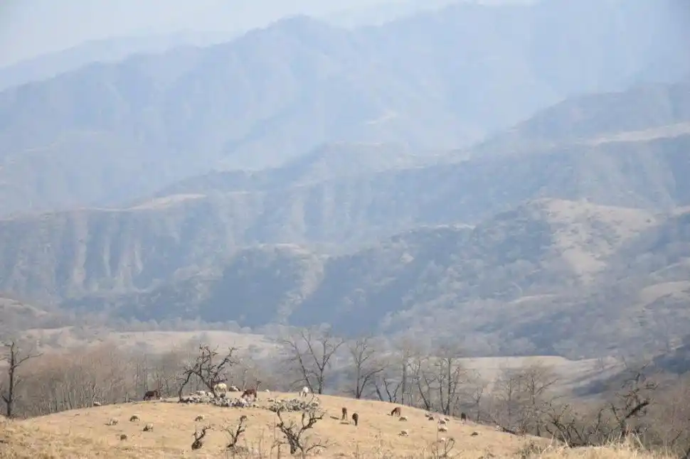EL MIRADOR. Muchas ovejas, algunos caballos y cerros y más cerros cautivan en un claro del recorrido.