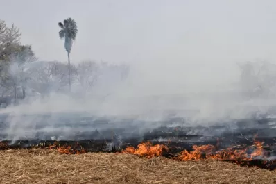 Covid-19: el humo que estamos respirando nos pone en riesgo