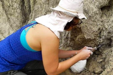 Hallan en Corrientes restos de un perezoso gigante de entre 30.000 y 50.000 años de antigüedad