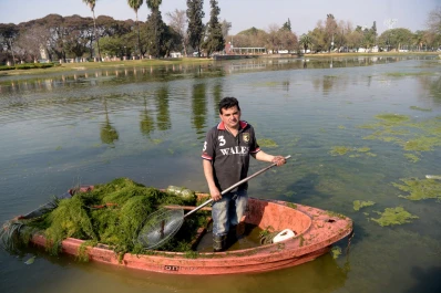 Seco y verde: el lago del parque 9 de Julio necesita reparación