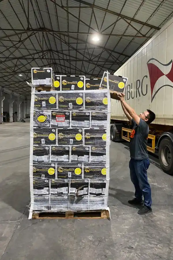 EN CHINA. Los limones tucumanos llegaron a Hong Kong. Foto Twitter @matiaslongoni