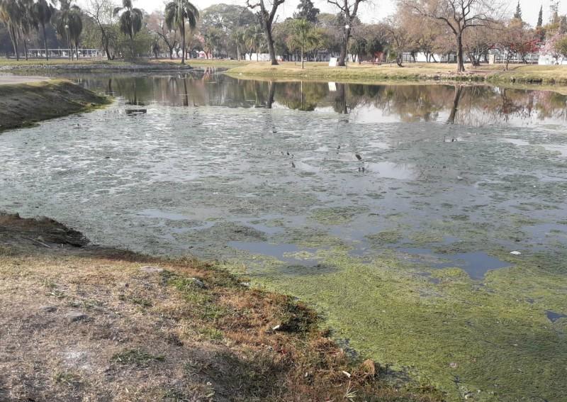 Seco y verde: el lago del parque 9 de Julio necesita reparación