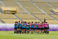 Los Pumas ya tienen luz verde