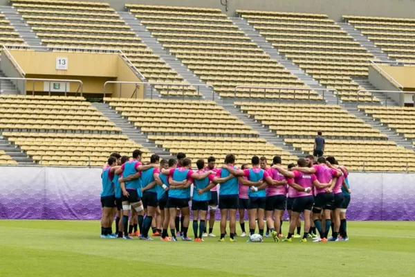 Los Pumas ya tienen luz verde