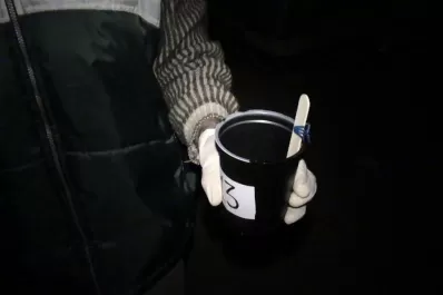 Prevención del dengue: colocarán trampas de huevos de mosquito en barrios de la ciudad