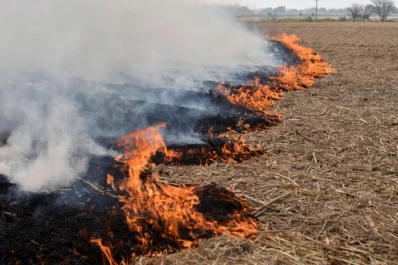 Contaminación del aire: los saberes necesarios para la toma de decisiones