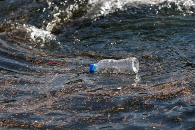 Mares contaminados: microplásticos transportan bacterias