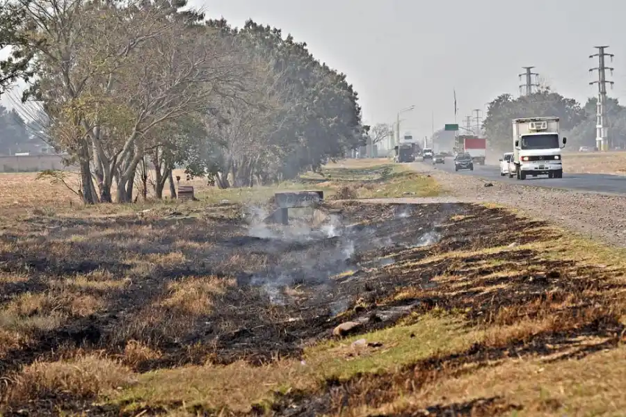 NO SÓLO CAÑA. Quemar en vez de cortar el pasto es una pésima costumbre.