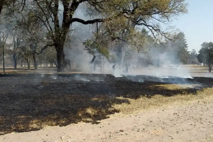 Vándalos causan incendios en el parque 9 de julio