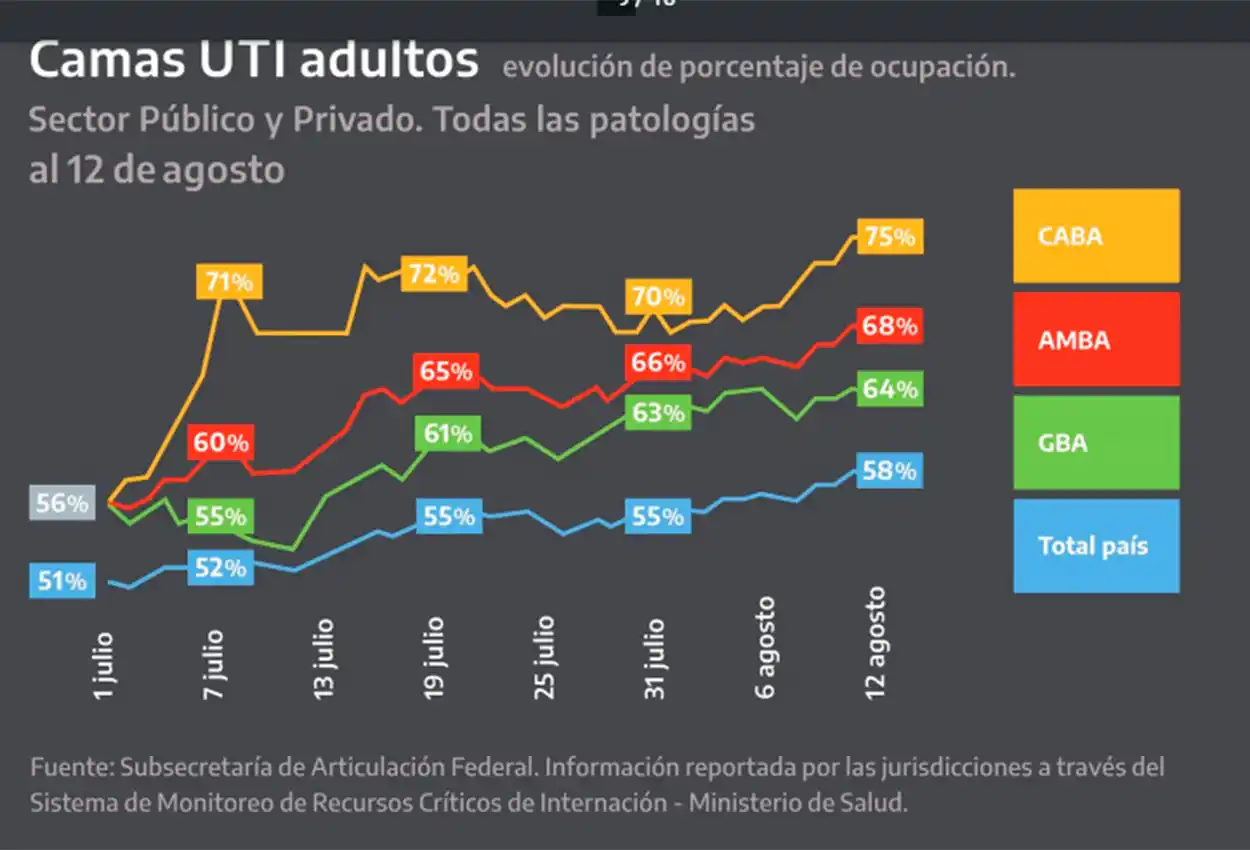 Uno por uno, los ocho gráficos que mostró Alberto Fernández sobre el coronavirus en el país