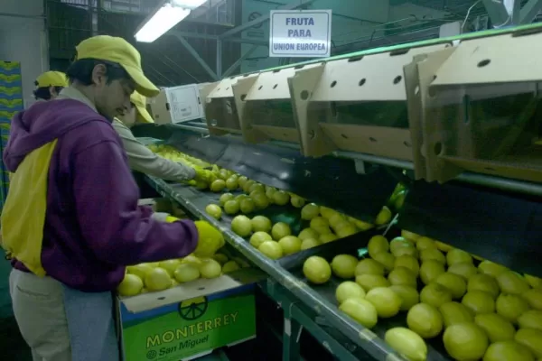 Incluyen a Tucumán en la ley de emergencia citrícola