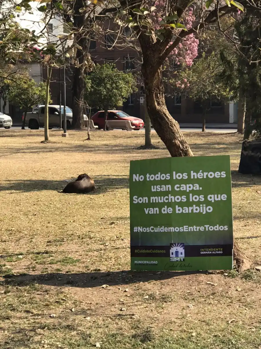 Esta plaza quiere que vuelvas a disfrutar del aire libre cuando sea más seguro para todos