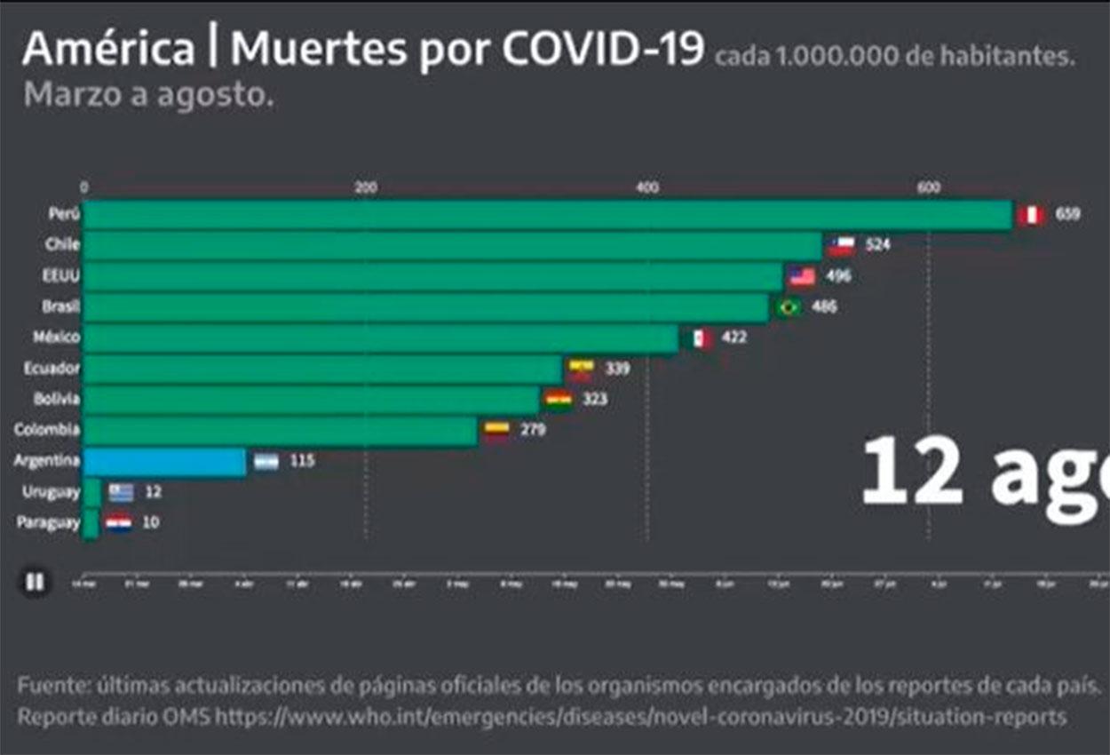 Uno por uno, los ocho gráficos que mostró Alberto Fernández sobre el coronavirus en el país