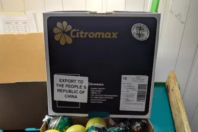 El limón, en China: una negociación de dos décadas