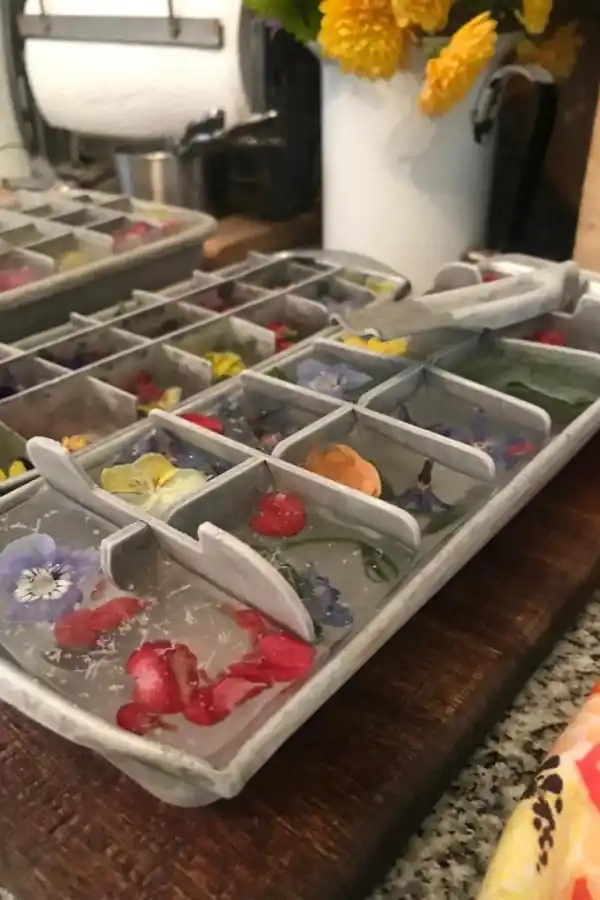 Gastronomía en casa: flores comestibles, del jardín a la mesa