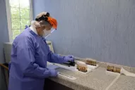 Uno por uno, los nueve casos mortales de coronavirus en Tucumán