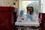 Coronavirus: la inmunidad tras enfermarse sería duradera, revelan estudios