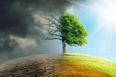 Advierten que el cambio climático empeora la producción de energía verde
