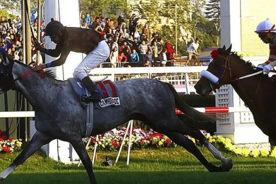 GRAN PREMIO. Robles está radicado en Chile y en 2018 ganó un Grupo I.