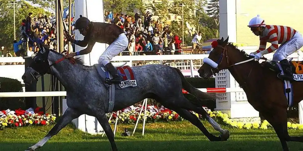 GRAN PREMIO. Robles está radicado en Chile y en 2018 ganó un Grupo I.