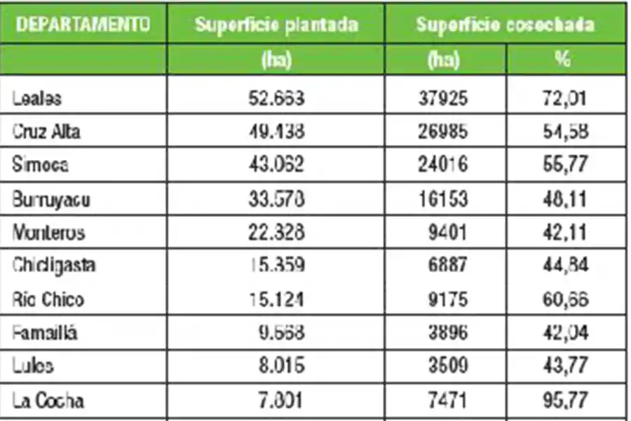 El INTA Famaillá determinó que el avance de la cosecha de caña en Tucumán se acerca al 60%