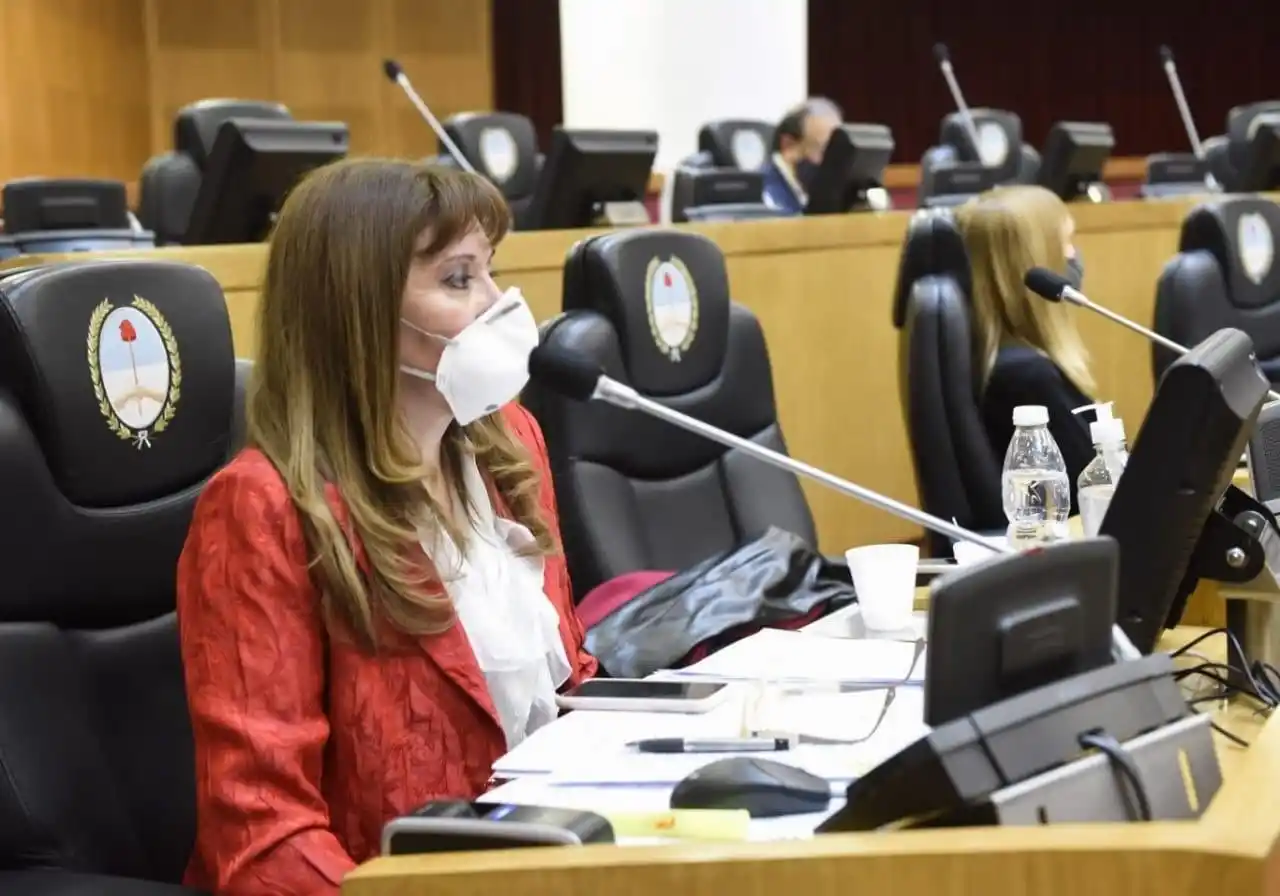 OFICIALISTA. La legisladora Marta Najar, en el recinto. Foto: Twitter @MartaNajarLeg